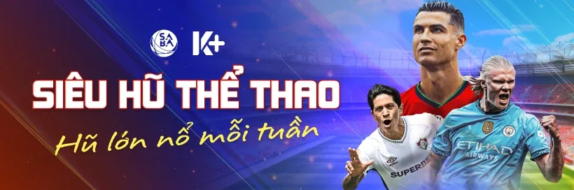 Các tổ chức hỗ trợ người chơi cờ bạc